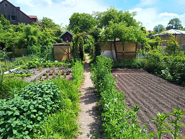 2025-06-01 Kleingarten